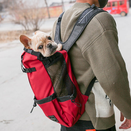 The Ultimate Urban Explorer – Breathable Front & Back Pet Carrier
