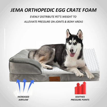 Professional Therapy Pet Lounge – OEKO-TEX Certified Memory Foam Bed
