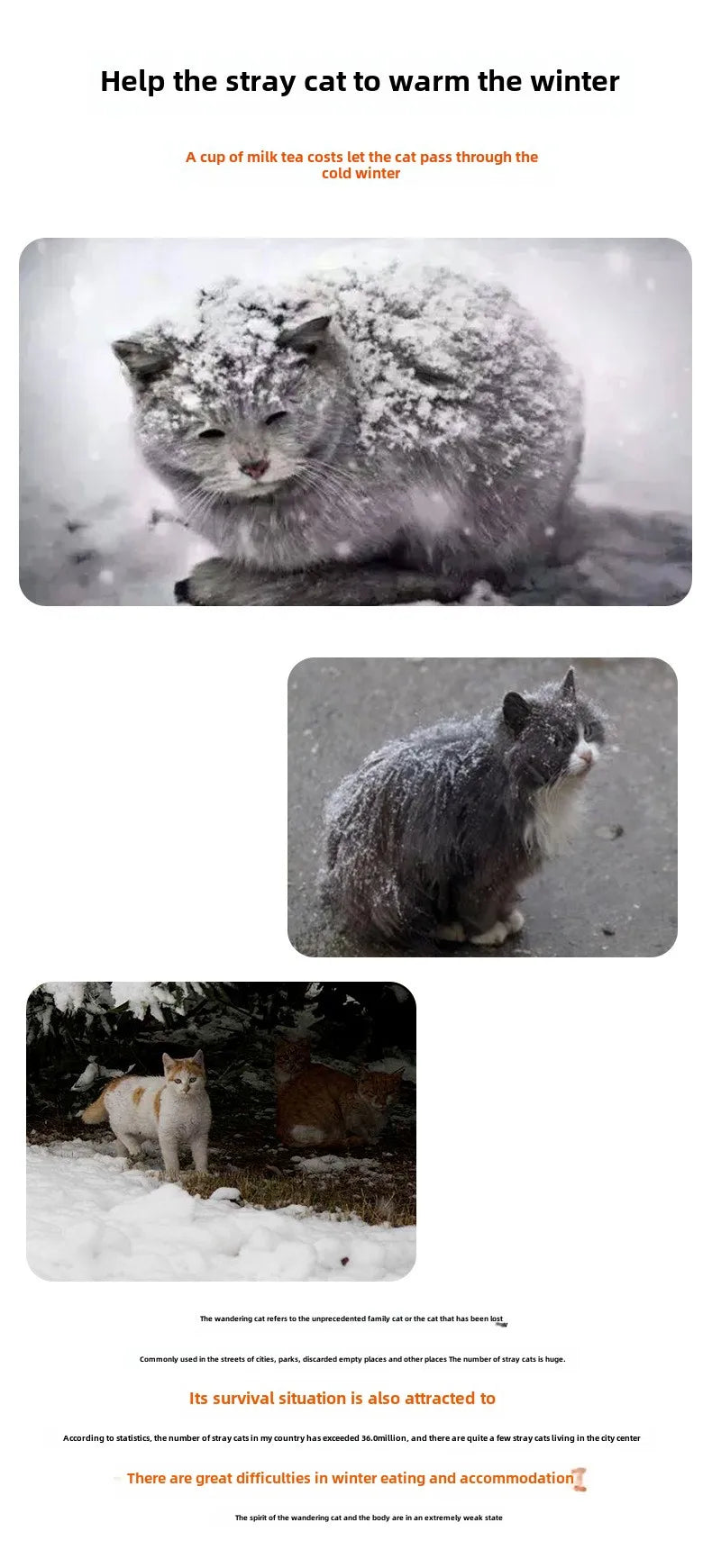 Bouclier Toutes Saisons — Maison Isotherme d'Extérieur pour Animaux